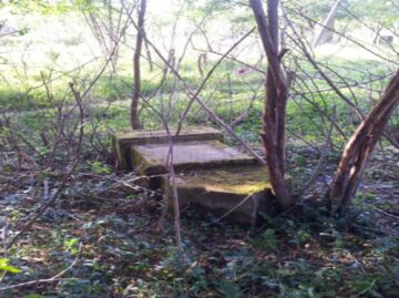 Decorațiunile metalice din cimitirul vechi din Cacica - furate, pietre funerare din anul 1800 - vandalizate