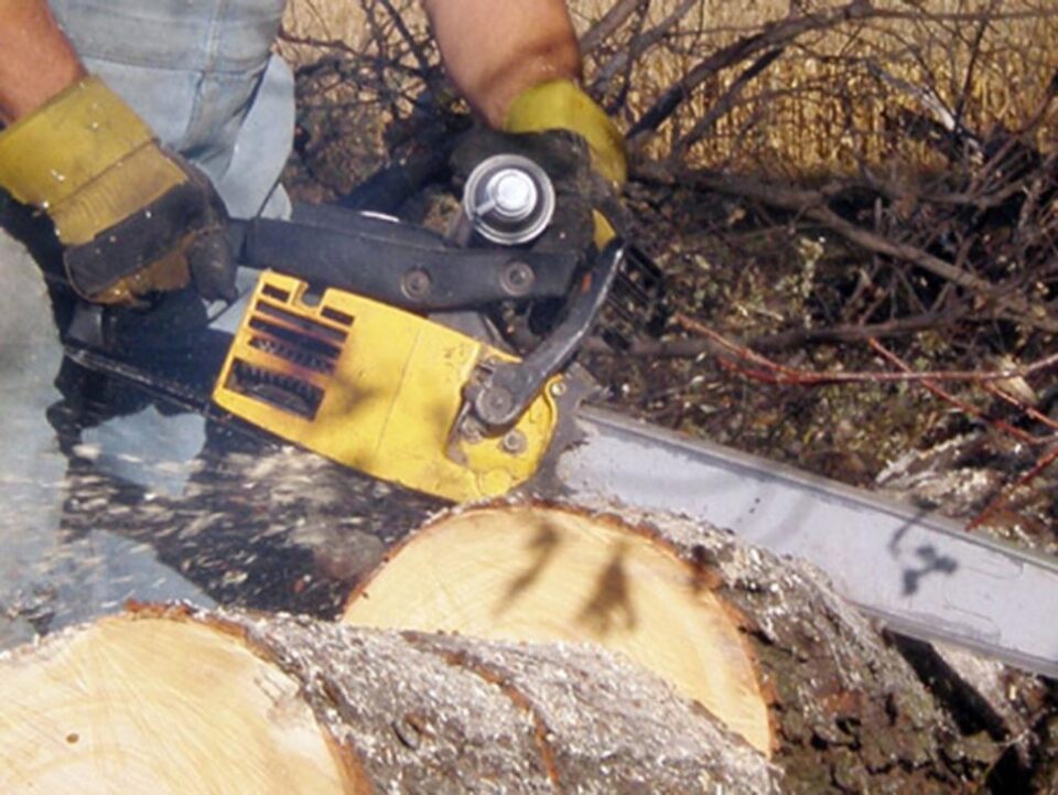 „Viața stulpicănenilor” „Viața stulpicănenilor”