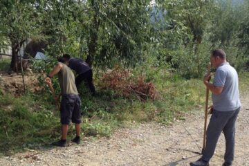 Asistați social la curățenie