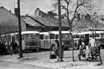 „Rătăcind printre autobuze”