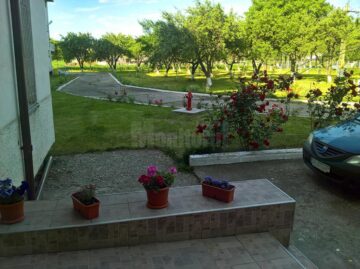 Tablouri din materiale reciclabile, colaje, împletituri, toate realizate de bolnavii de la centrele de recuperare de la Mitocu Dragomirnei și Zvoriștea