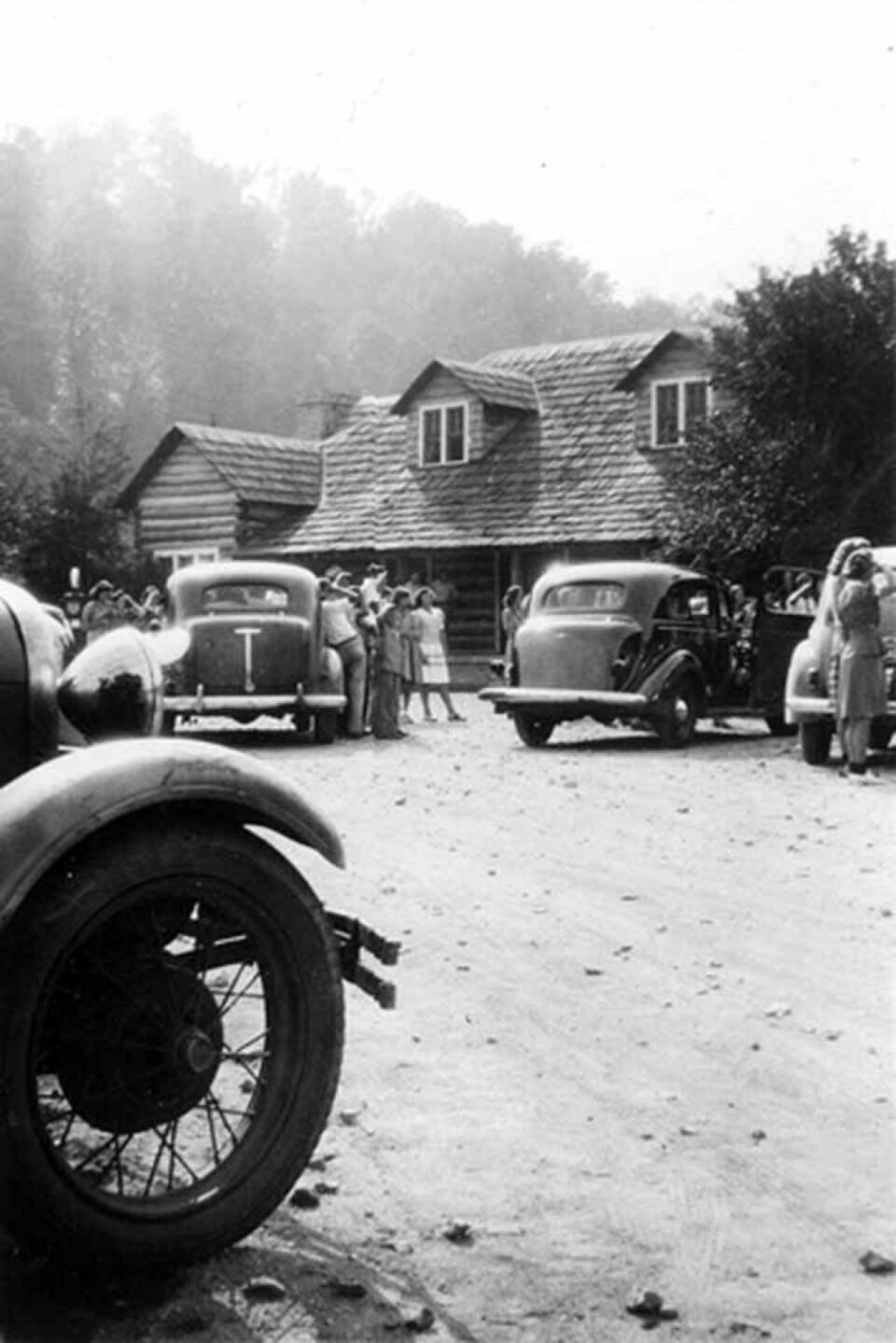 „Șoferul și benzina...de duminică”