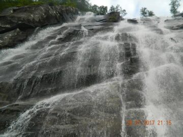 O excursie de neuitat - spectacolul naturii pentru șapte copii cu rezultate frumoase la învățătură