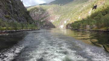 O excursie de neuitat - spectacolul naturii pentru șapte copii cu rezultate frumoase la învățătură