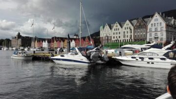 O excursie de neuitat - spectacolul naturii pentru șapte copii cu rezultate frumoase la învățătură