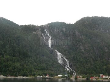 O excursie de neuitat - spectacolul naturii pentru șapte copii cu rezultate frumoase la învățătură