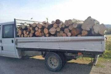 Un bărbat a fost amendat cu 5.000 de lei pentru un transport ilegal de lemn