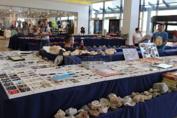 Fosile de dinozauri, pietre prețioase și bijuterii, la târgul de la Iulius Mall Suceava