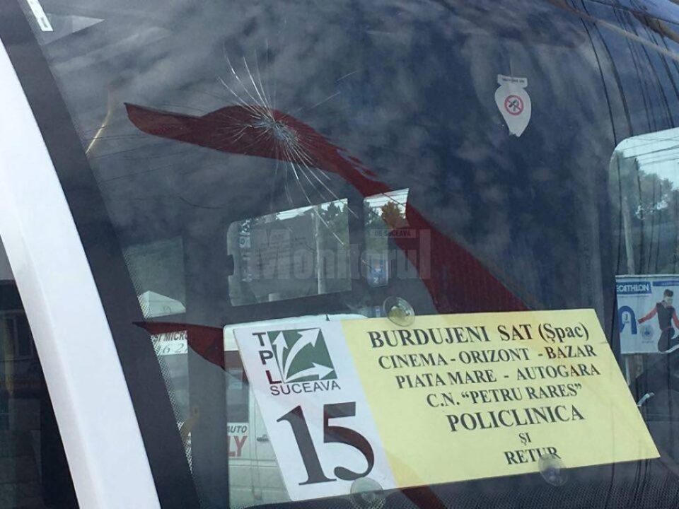 Parbrizul microbuzului, spart cu capul de un calator - foto FB Radio Top