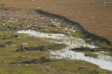 Albia râului Sucevița, din Rădăuți, ecologizată de aproape 80 de voluntari