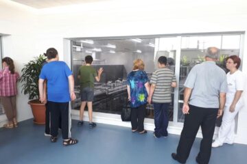 Elevii participa la o serie de activități recreative, de socializare