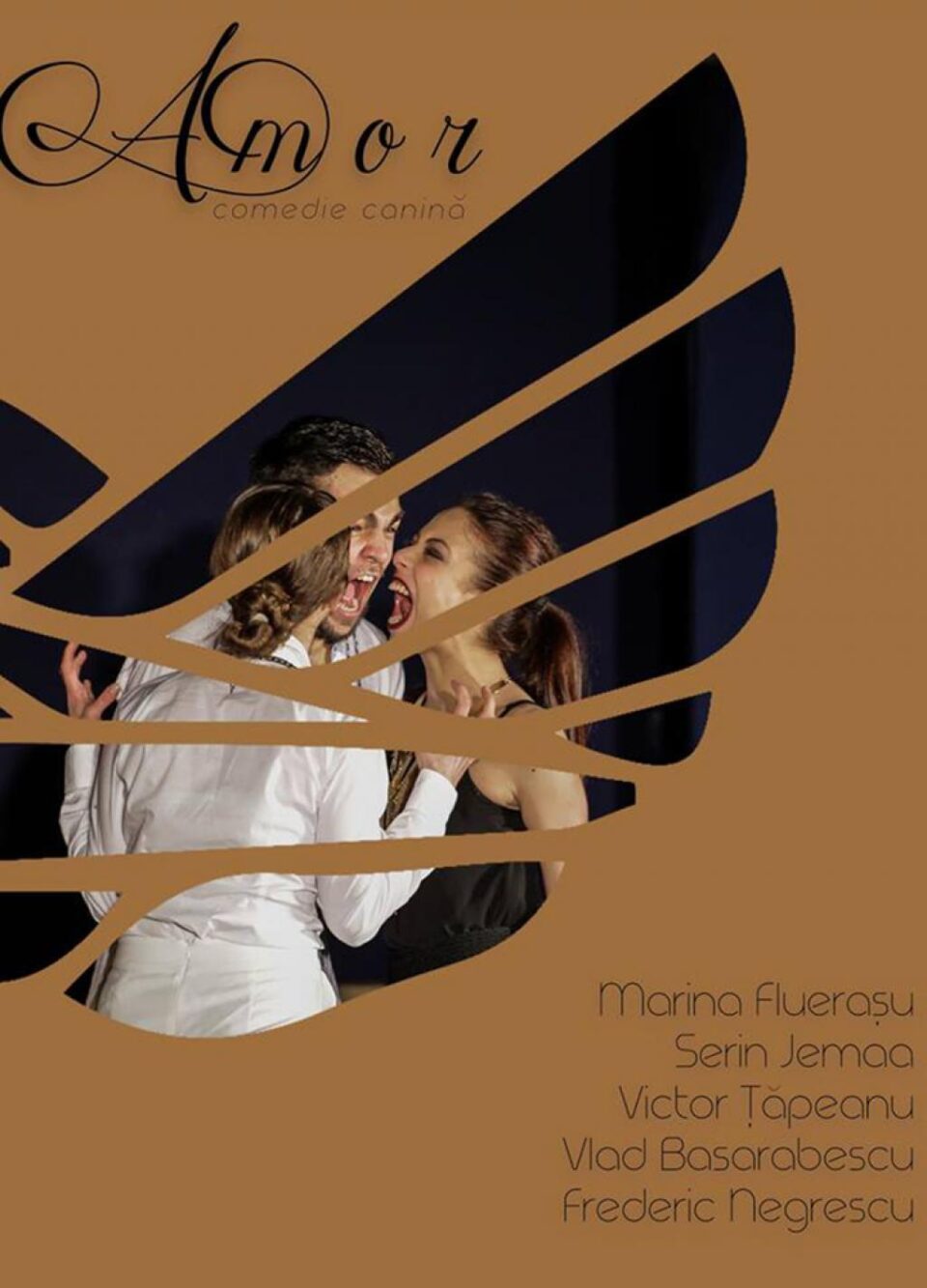 Festivalul Internațional de Teatru pentru Tineret „Gr. V. Birlic”
