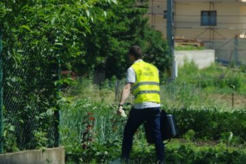 Politistii au intensificat activitatile de cercetare penala Politistii au intensificat activitatile de cercetare penala
