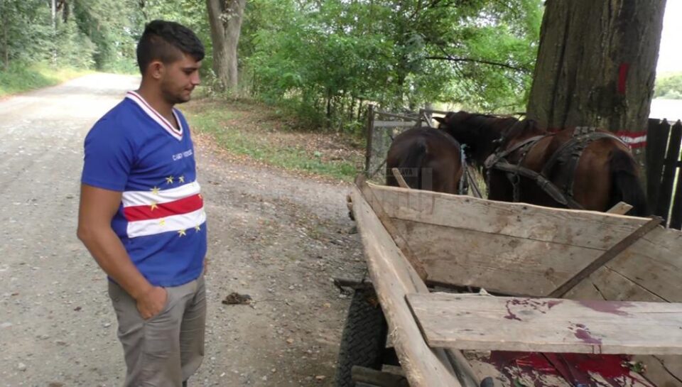 Rănitul se afla în căruță în momentul în care pădurarul a tras