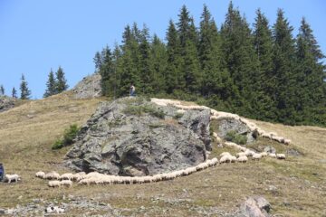 „Sărbătoarea Muntelui”, un regal de muzică populară, meșteri iscusiți, bucate delicioase și spectatori entuziaști
