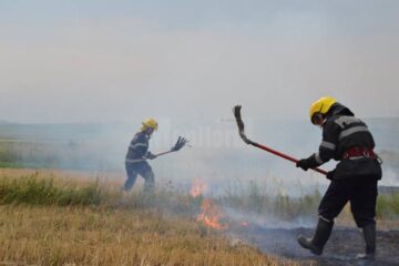 Se înmulțesc incendiile de vegetație uscată