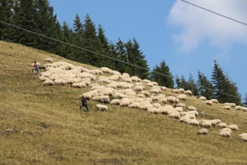 „Sărbătoarea Muntelui”, un regal de muzică populară, meșteri iscusiți, bucate delicioase și spectatori entuziaști