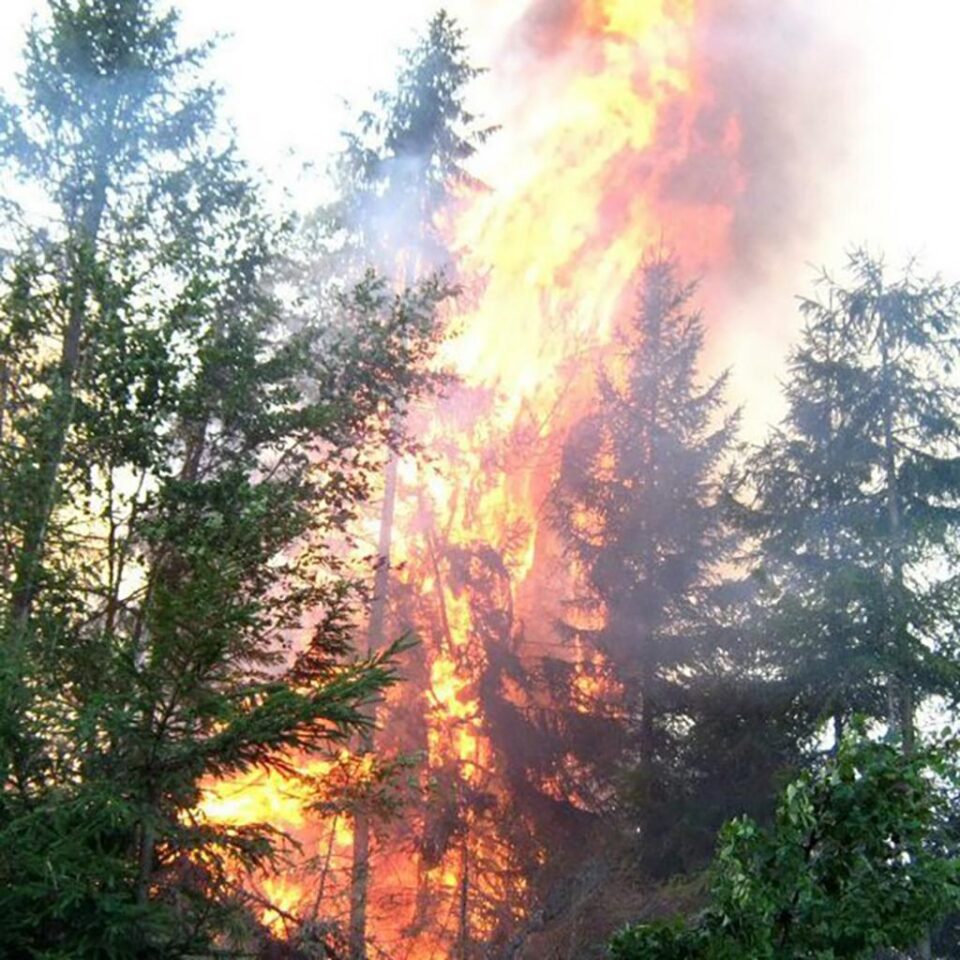 Incendiile de păduri, în creștere în prima jumătate a anului
