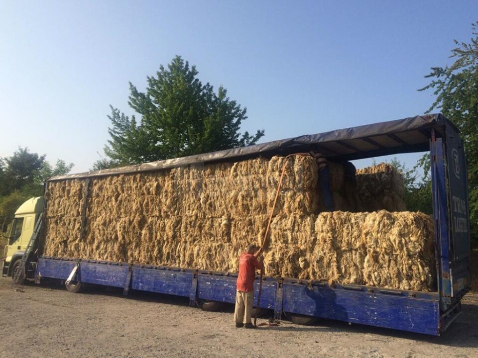 Lâna este îmbalotată și pleacă spre Turcia