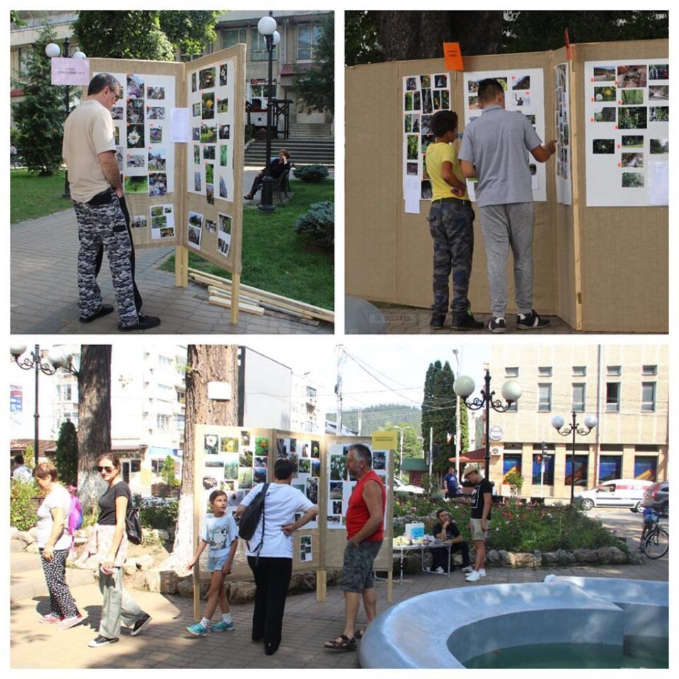„Povestea cheilor de la poalele muntelui Rarău” - expoziția stradală