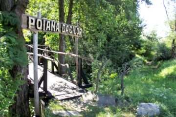 Tabăra de artă naivă din Poiana Dacilor