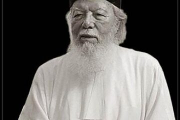 Patriarhul Teoctist Arăpașu, Sursa: Doxologia.ro