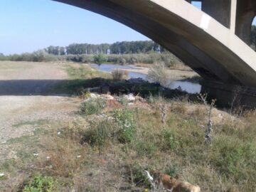 Malul râului Suceava, transformat într-o adevărată groapă de gunoi de o parte din locuitorii orașului Liteni
