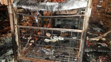 Incendiul s-a extins și a făcut pagube importante