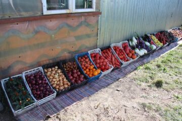 Produse de la ferma lui Vasile Mătrășoaia