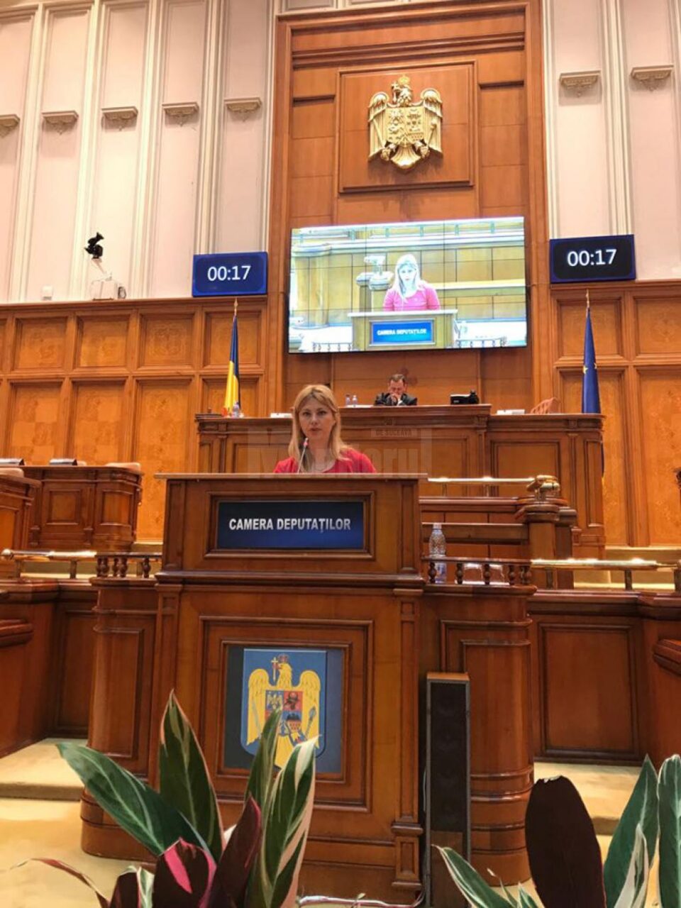 Maricela Cobuz a anunțat că România a înregistrat anul acesta cea mai mare creștere economică din UE