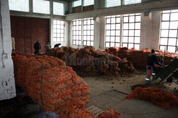 An bun pentru cultura cartofului