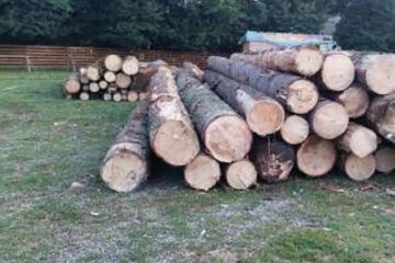 Amenzi, material lemnos confiscat și o mașină indisponibilizată după o amplă acțiune a polițiștilor