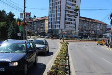 Crizantemele care înfrumusețau zona centrală a Sucevei, săptămâna trecută