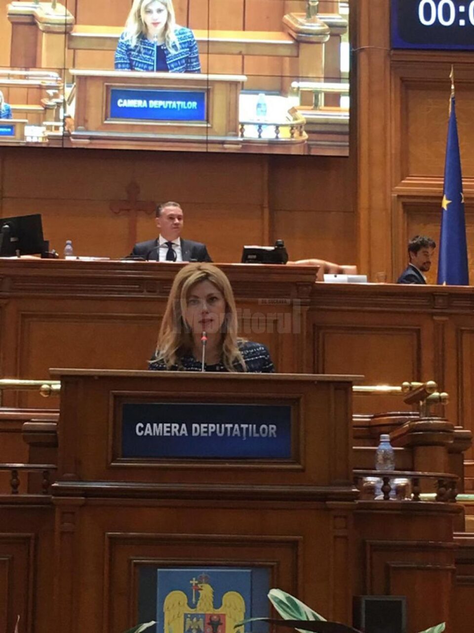 Deputatul PSD de Suceava Maricela Cobuz