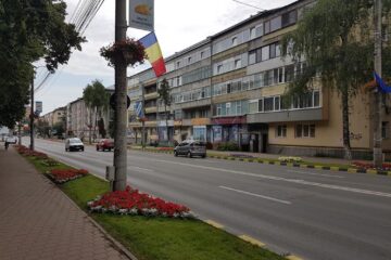 Perdea de platani pe lateralele bulevardului principal al municipiului Suceava