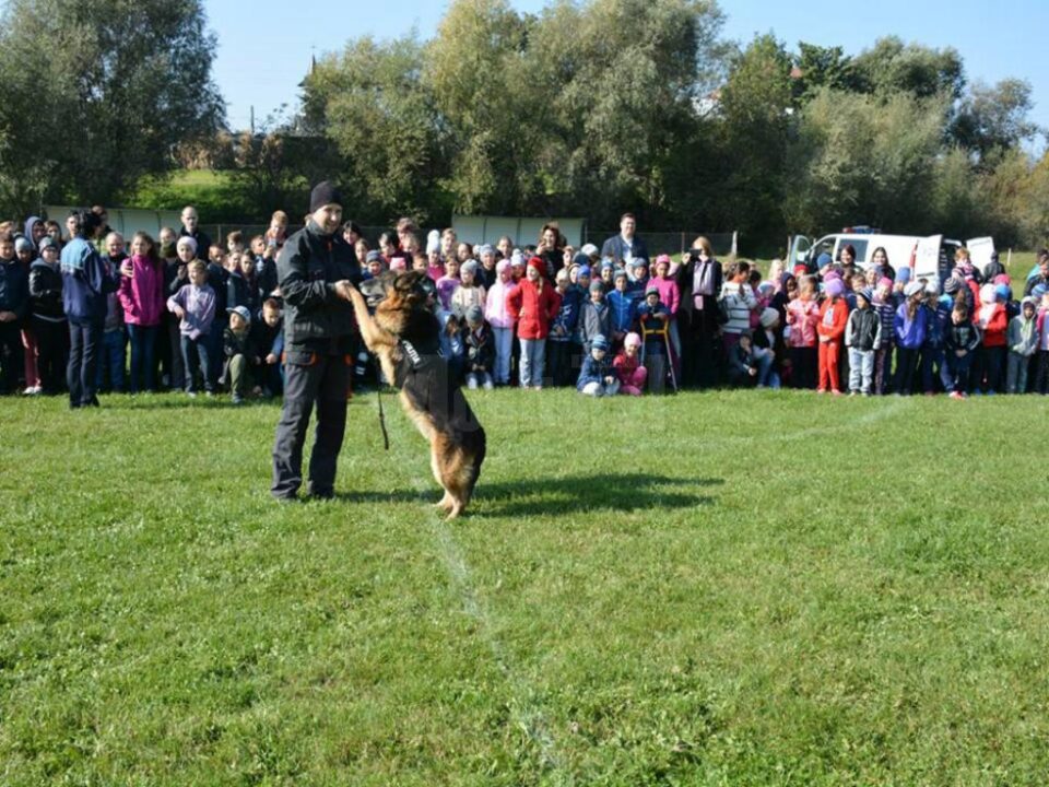 Folosirea câinelui de urmă în depistarea infractorului, un exercițiu mult îndrăgit de copii Folosirea câinelui de urmă în depistarea infractorului, un exercițiu mult îndrăgit de copii