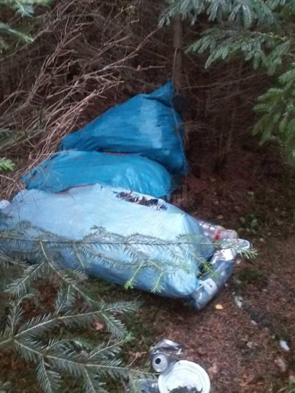 Sacii de gunoi și cauciucurile au luat locul ciupercilor, florilor și fructelor de pădure Sacii de gunoi și cauciucurile au luat locul ciupercilor, florilor și fructelor de pădure