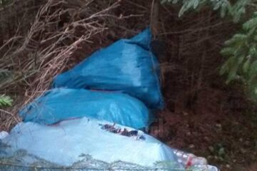 Sacii de gunoi și cauciucurile au luat locul ciupercilor, florilor și fructelor de pădure