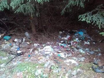 Pădurile din Pojorâta au devenit gropi de gunoi
