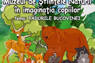 Muzeul de Științele Naturii în imaginația copiilor, expoziție-concurs de machete