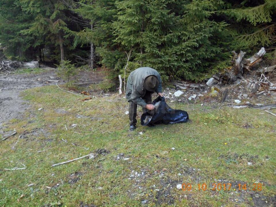 A început salubrizarea pădurii împânzite cu gunoaie