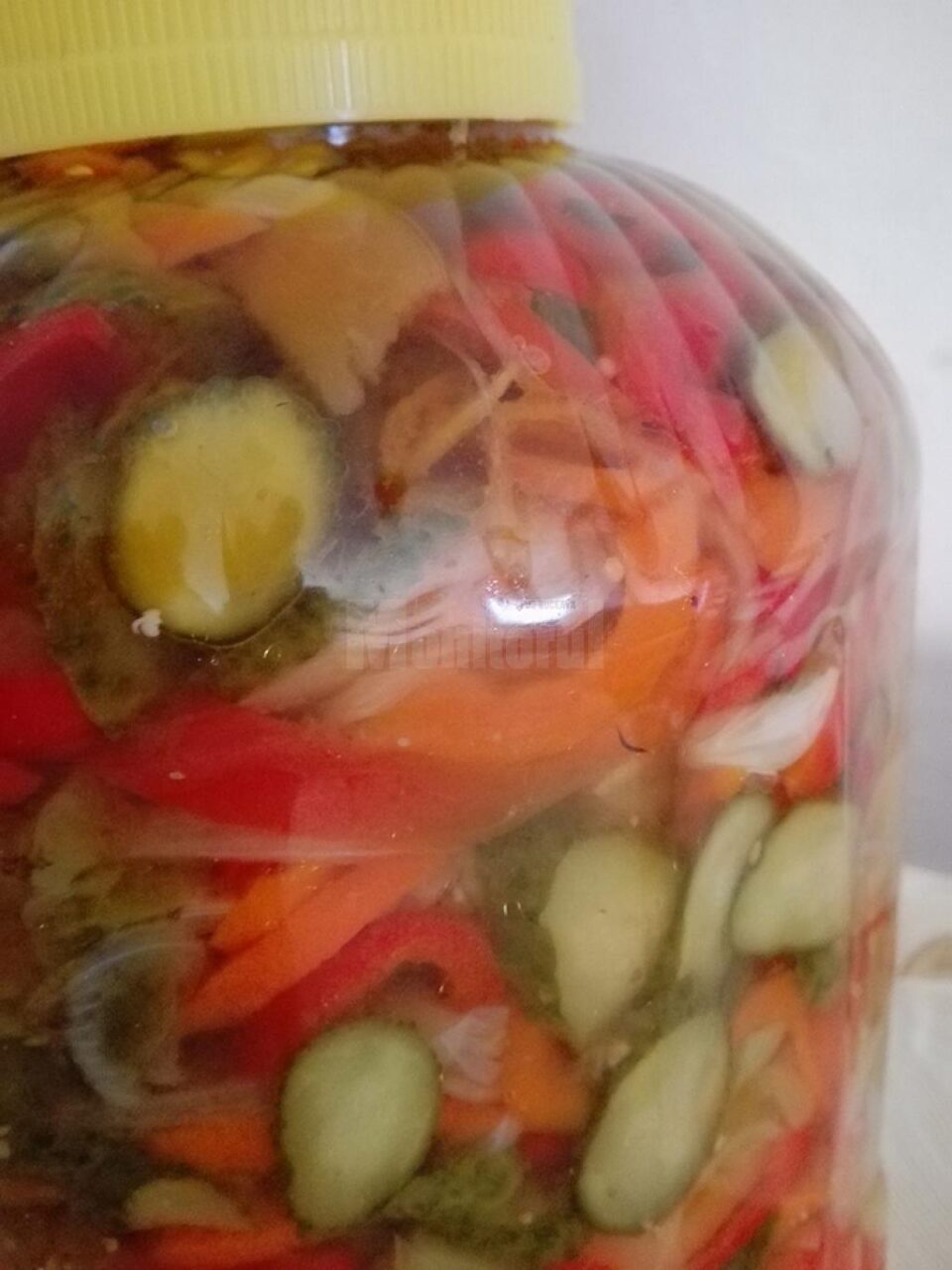 Salată de toamnă (fără sterilizare)