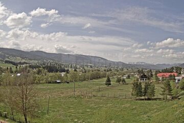 Primăvara. Patru anotimpuri surprinse în aproape 1500 de poze, comprimare într-un minut de material video