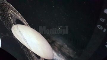 Peste 1.000 de copii au învățat în weekend la „Școala Planetelor”