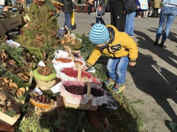 Flutur consideră că prezentarea ofertei județului Suceava la Cluj a fost o reușită