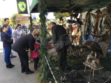 Flutur consideră că prezentarea ofertei județului Suceava la Cluj a fost o reușită