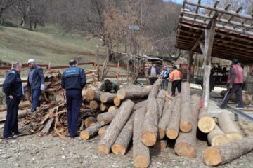 În cadrul acțiunii au fost confiscați 27,56 metri cubi lemn, în valoare de 8.574 lei