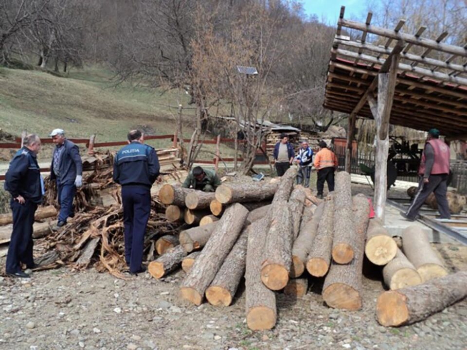 În cadrul acțiunii au fost confiscați 27,56 metri cubi lemn, în valoare de 8.574 lei