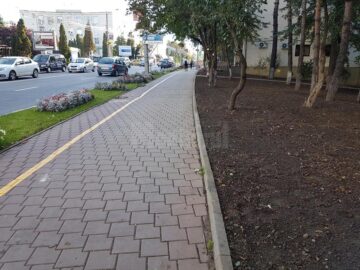 Campania de scoatere a gardului viu din Suceava, reluată în forță