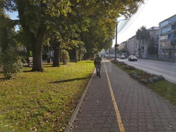 Campania de scoatere a gardului viu din Suceava, reluată în forță